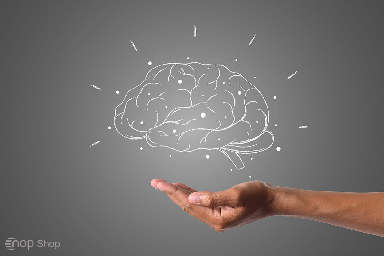 الگوریتم رنک برین به چه وبسایت هایی توجه مثبت دارد؟