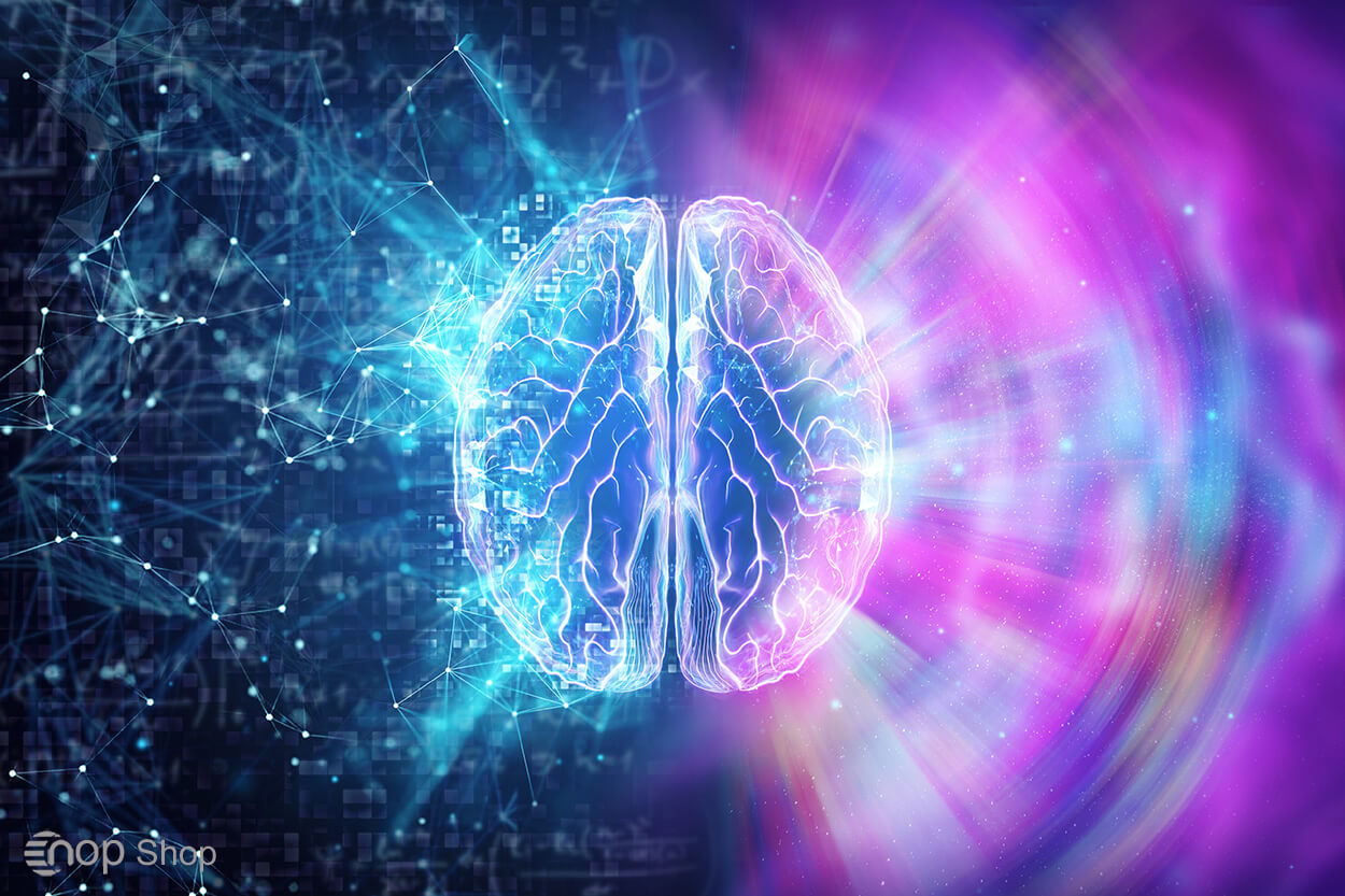 الگوریتم رنک برین و سئو وبسایت